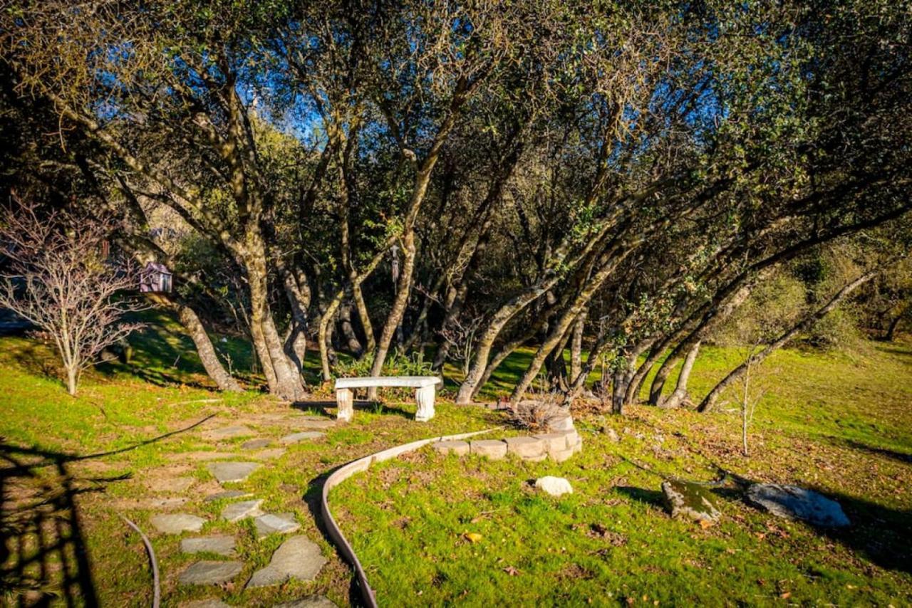 Fairy Tale 13-Acre Sunset Villa At Windy Gap Valley Near Yosemite 阿赫瓦尼 外观 照片